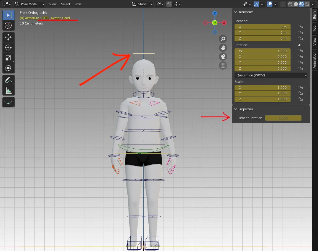 Isolate rotation attribute for the head.